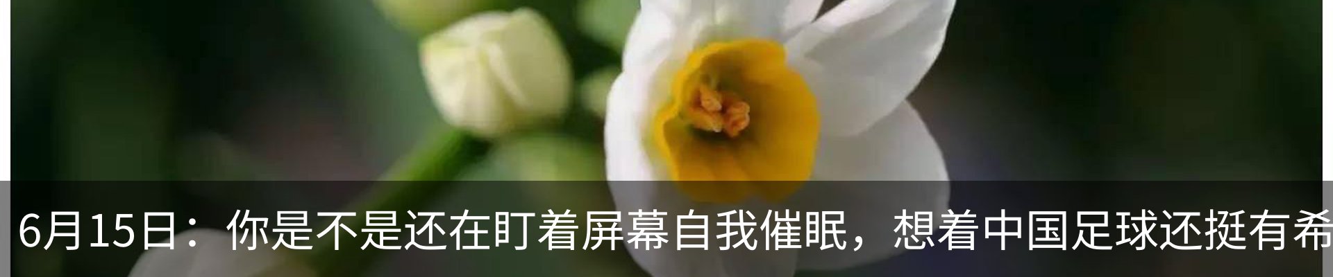 新闻动态